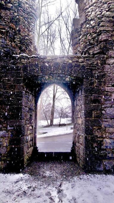 Riverside Cabin Limerick Junction Exteriér fotografie