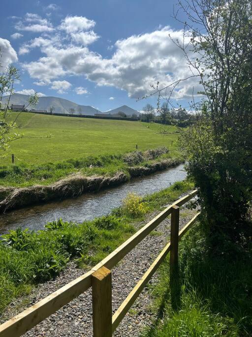 Riverside Cabin Limerick Junction Exteriér fotografie