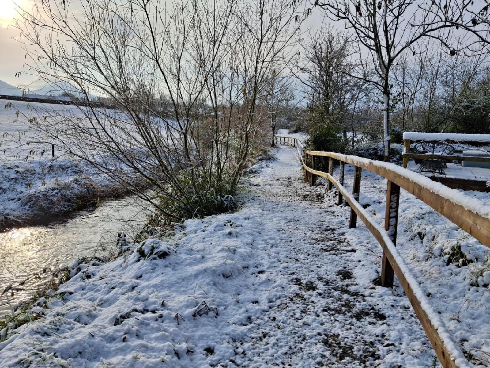 Riverside Cabin Limerick Junction Exteriér fotografie