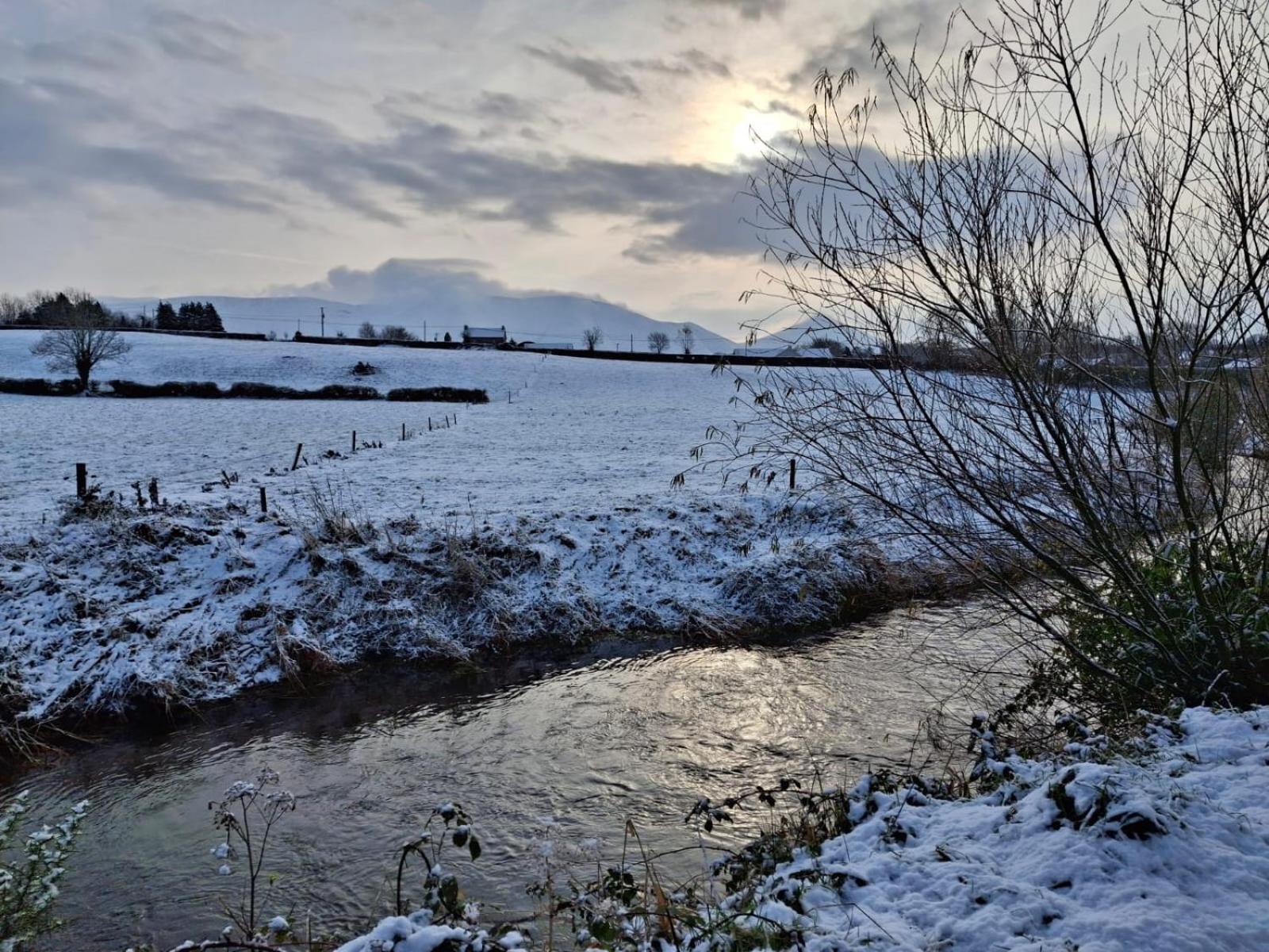 Riverside Cabin Limerick Junction Exteriér fotografie