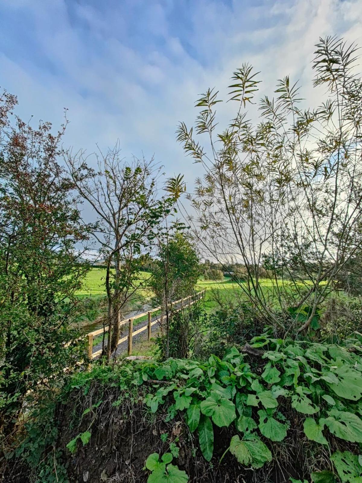 Riverside Cabin Limerick Junction Exteriér fotografie